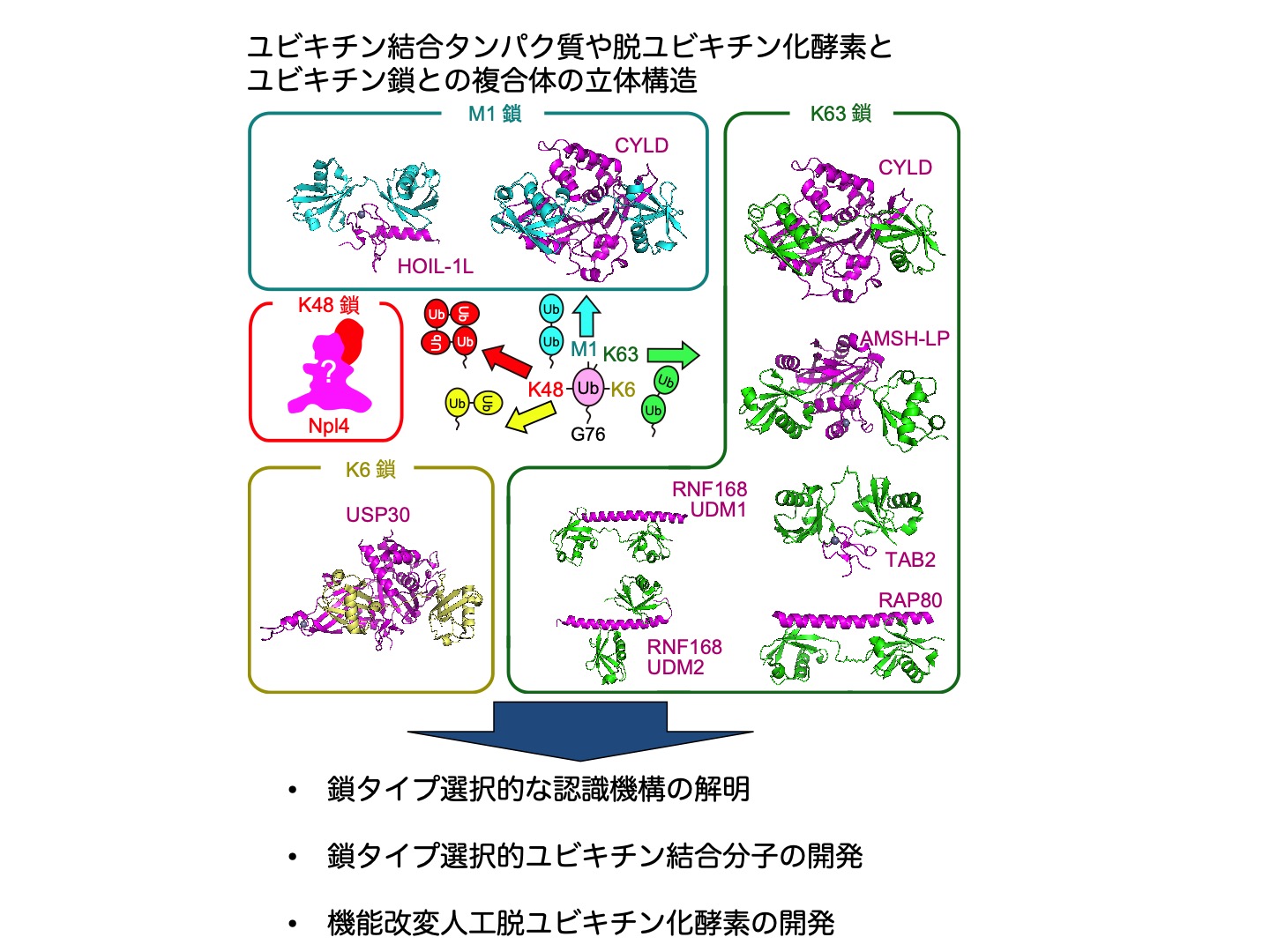 研究概要を示す模式図